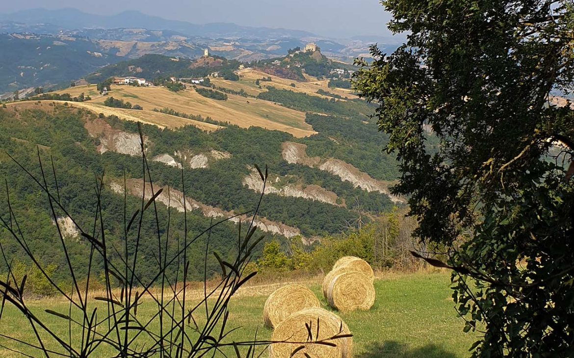 Trekking + yoga al tramonto sulle colline reggiane