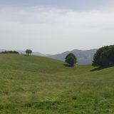 Monte Tavola