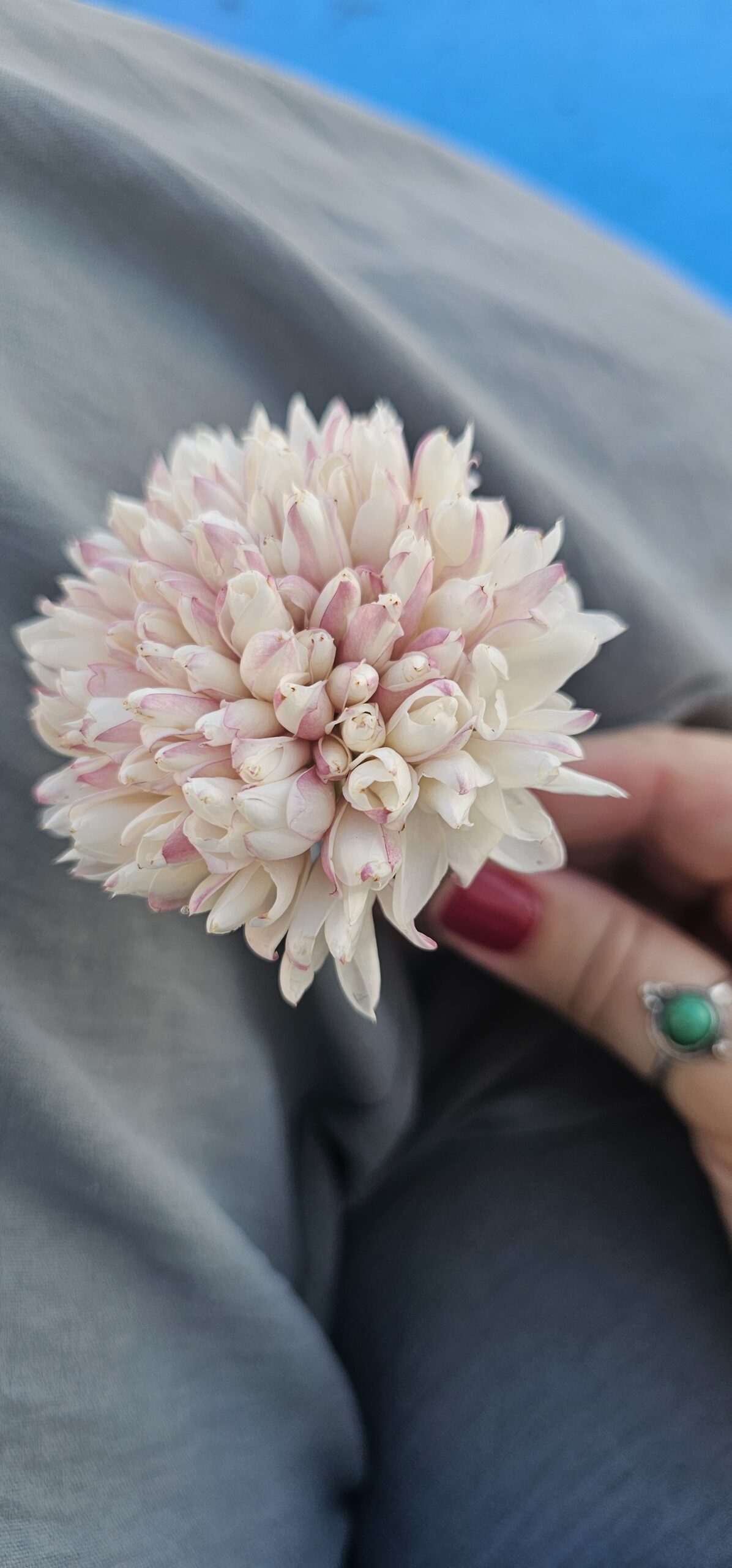 20250921_174055 20250921_174055