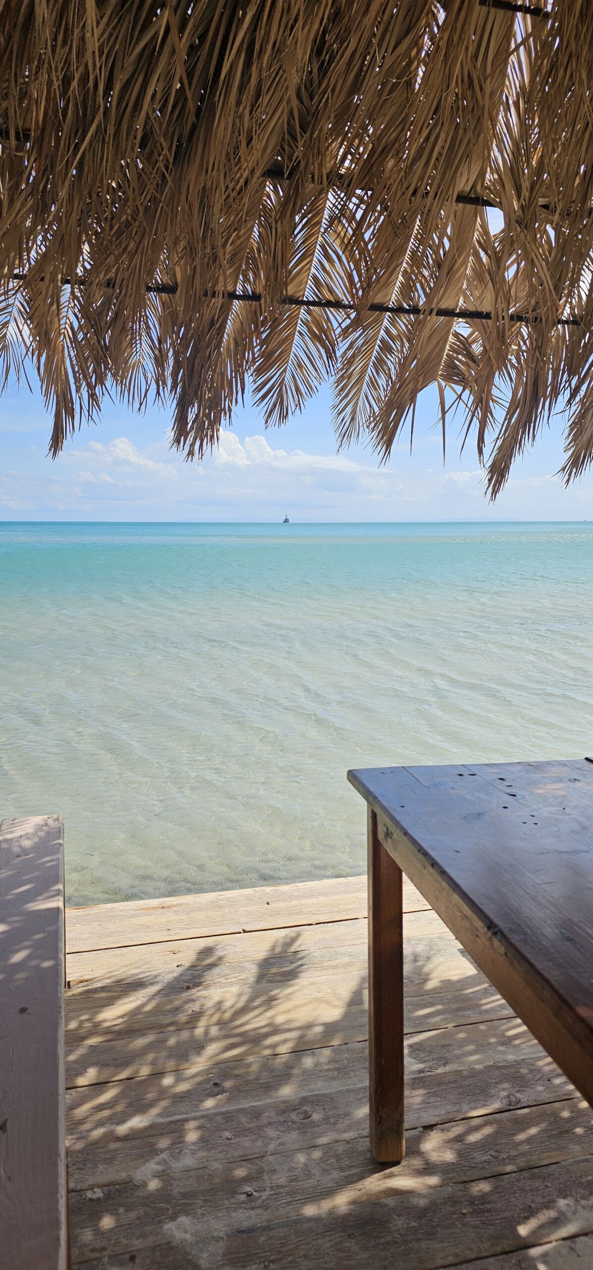 Tunisia wild Bizerte Cap Sidi Ali el Mekki