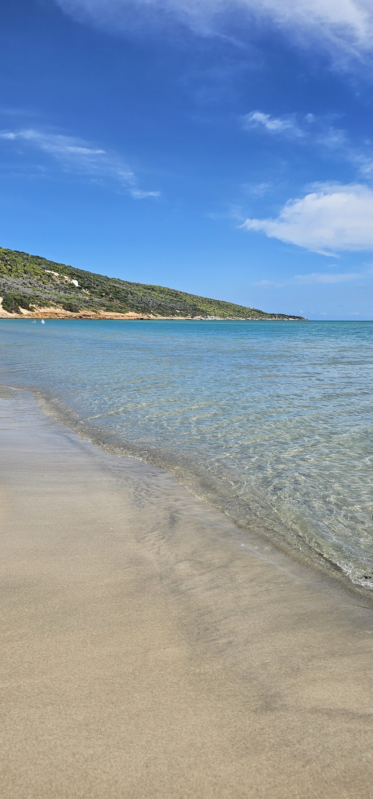 Tunisia wild Bizerte Cap sidi Ali el Mekki